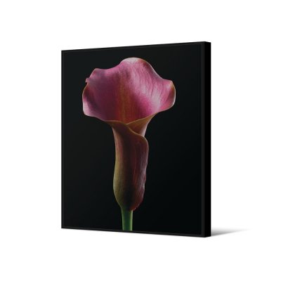 Obraz z różowym kwiatem 102 x 142
