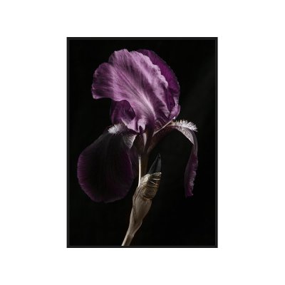 Obraz z fioletowym kwiatem 102 x 142